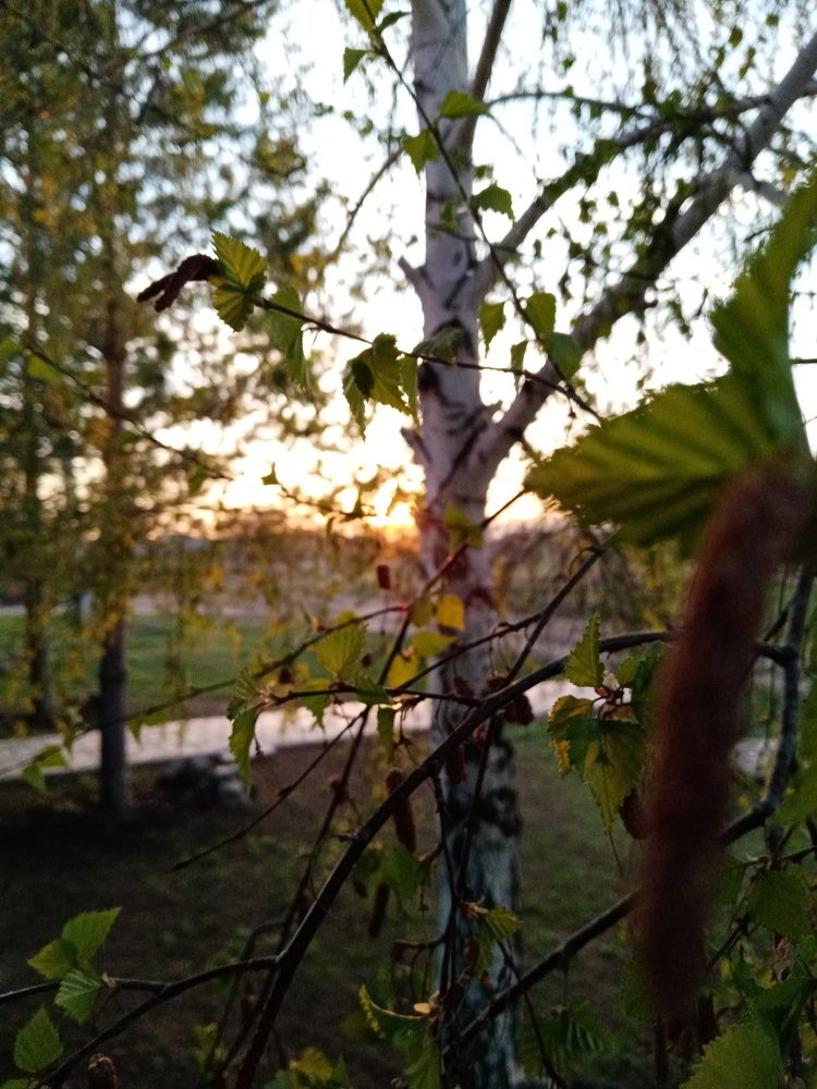 Photograph by Алёна