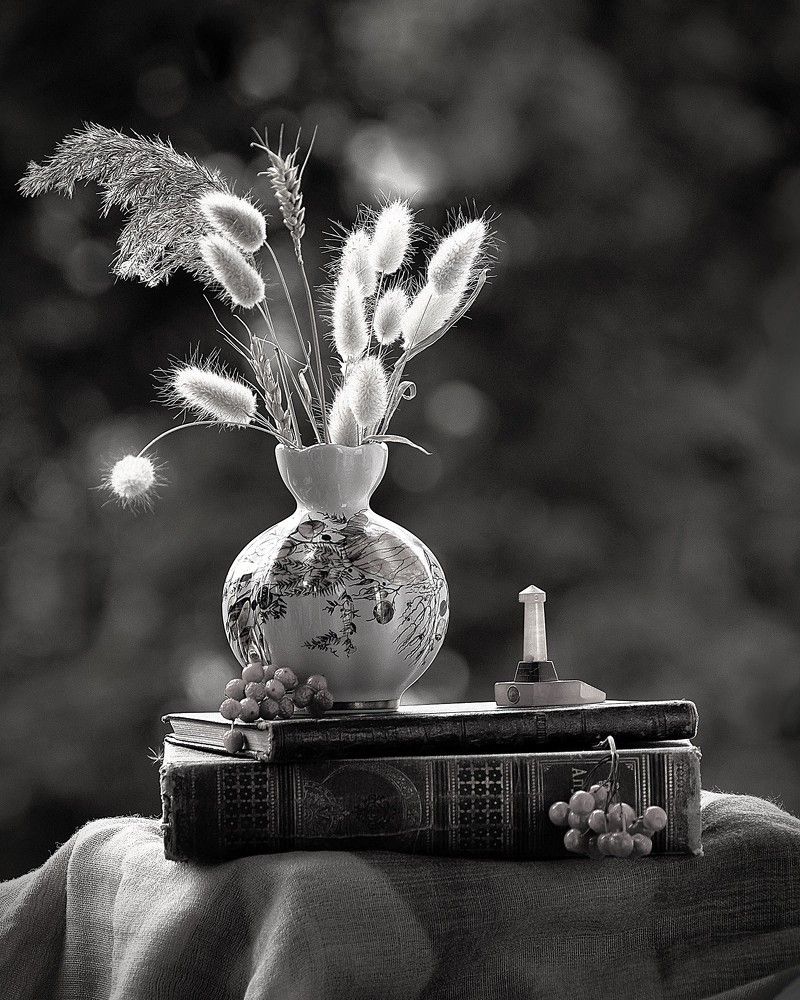 Photograph by Людмила ЧЕРНИКОВА