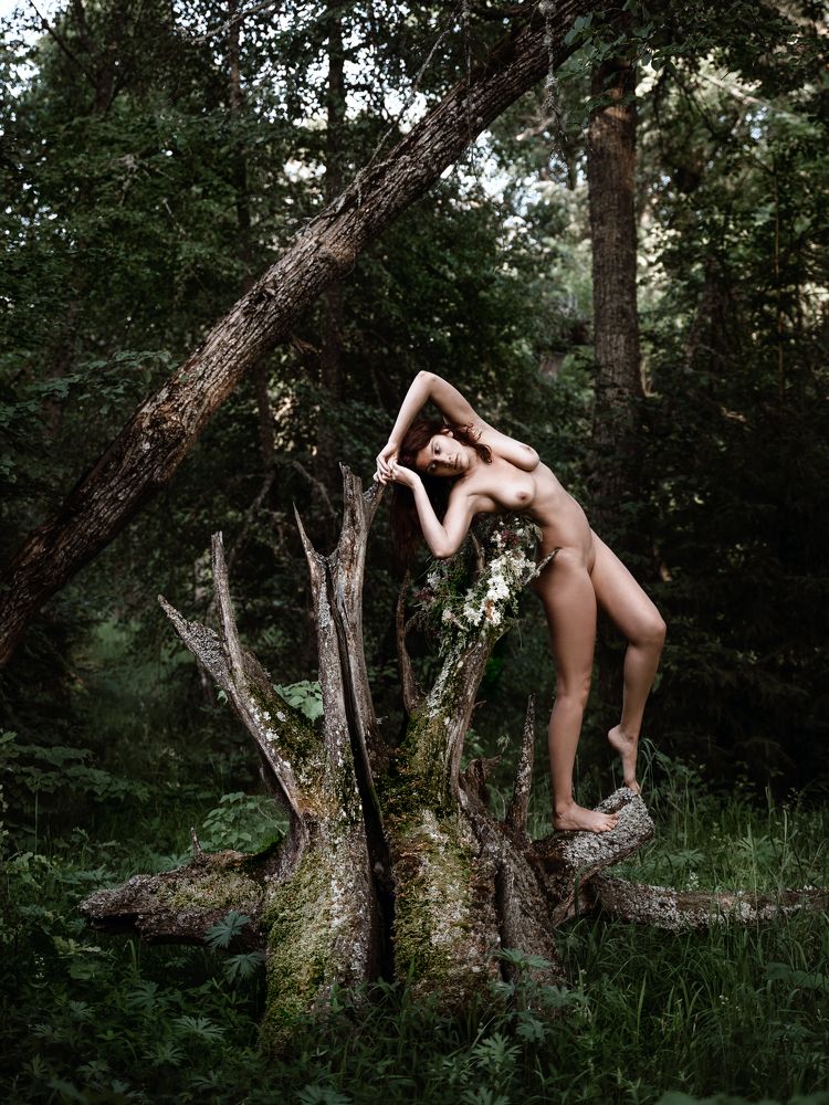 Photograph by Ольга Лаут