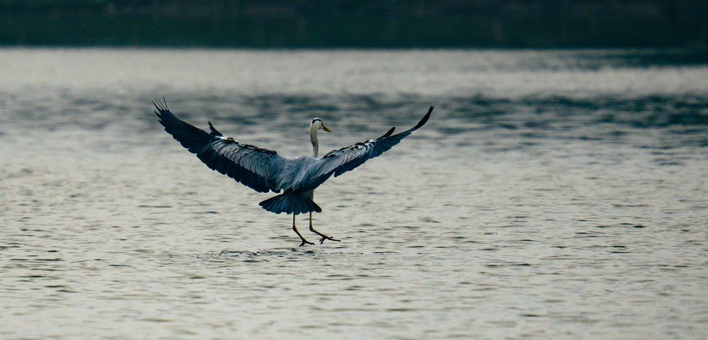 Photograph by Hải Nguyễn