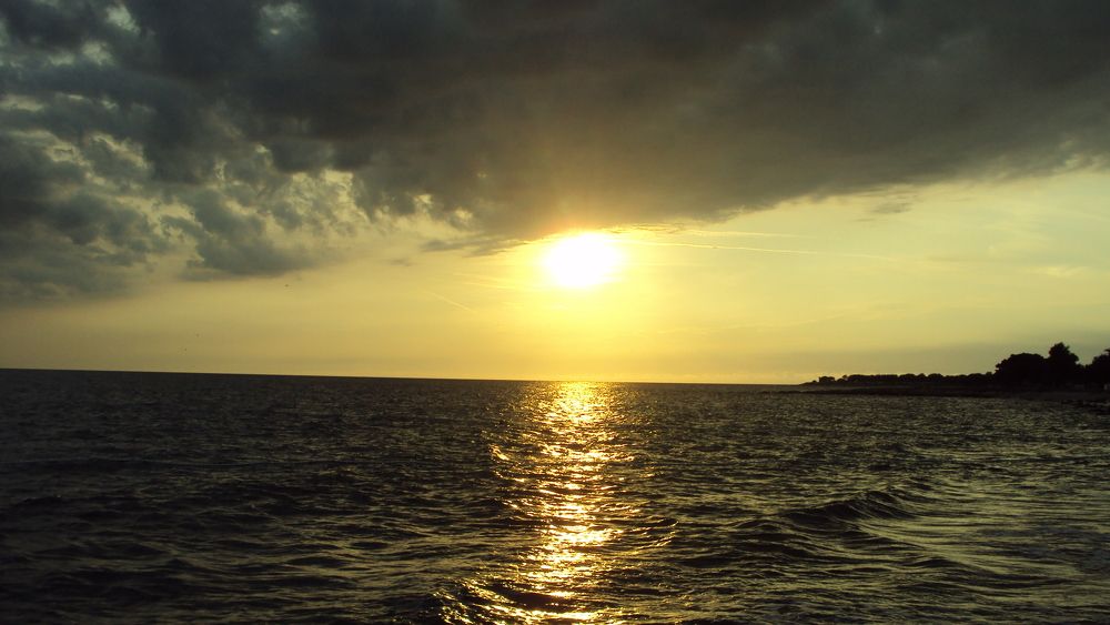 Photograph by Светлана