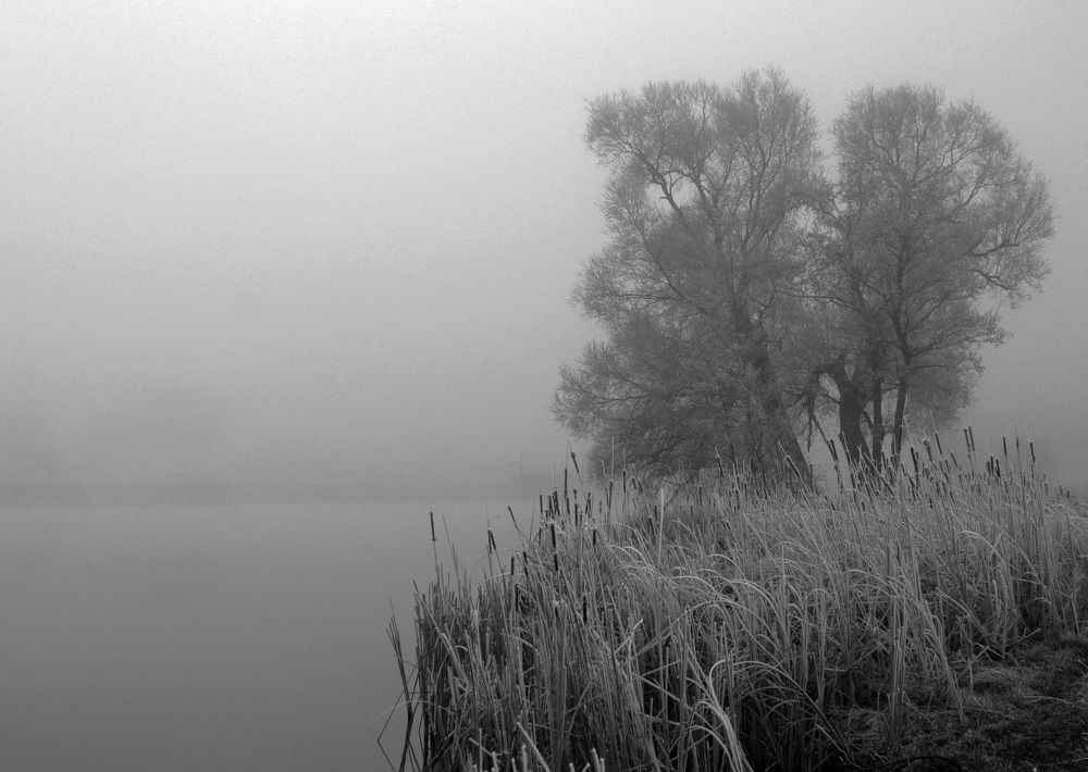 Photograph by Дмитрий Сырбу