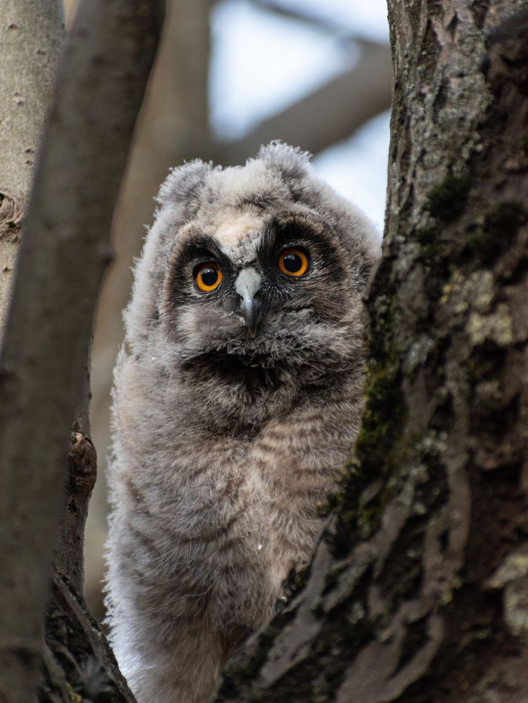 Фотография автора Рохмистрова Мария