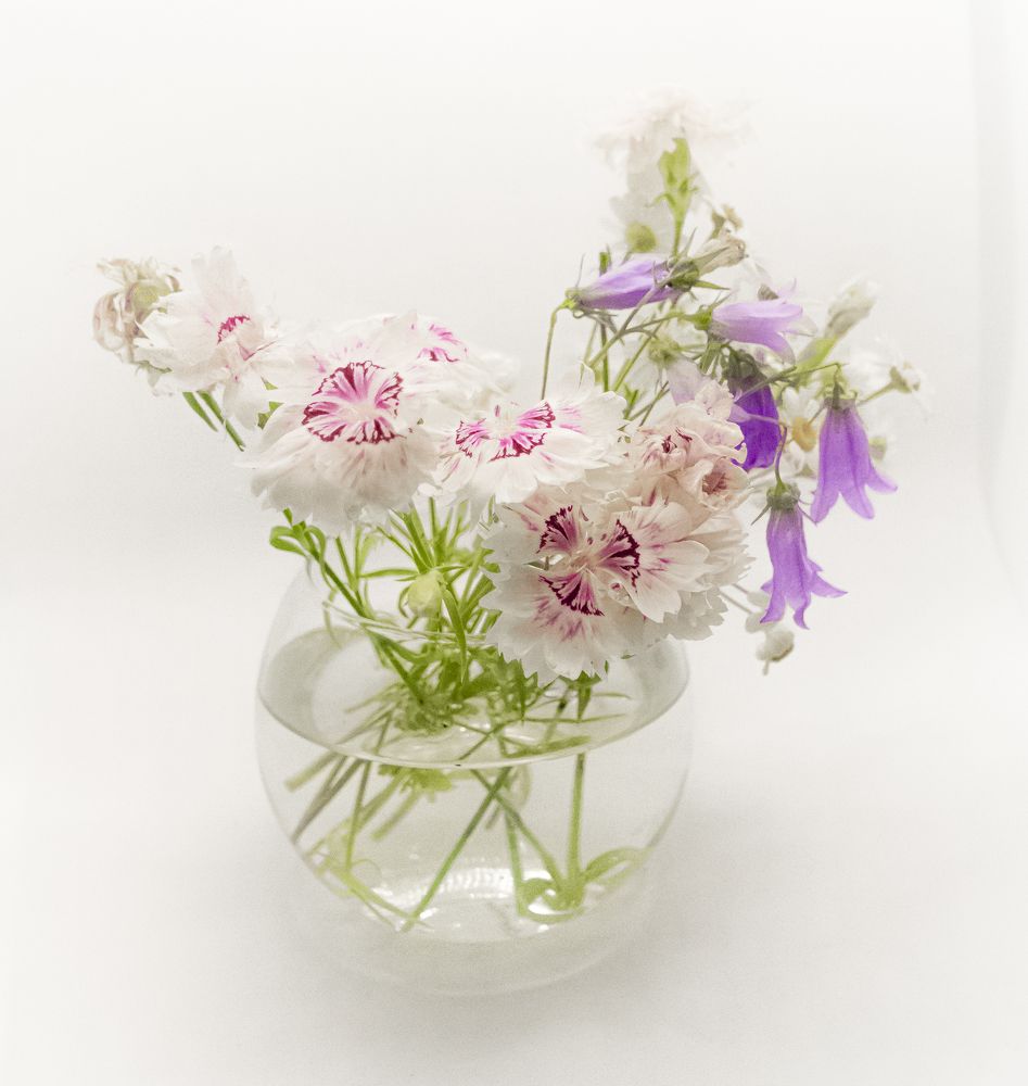 Photograph by Alex Kalpus