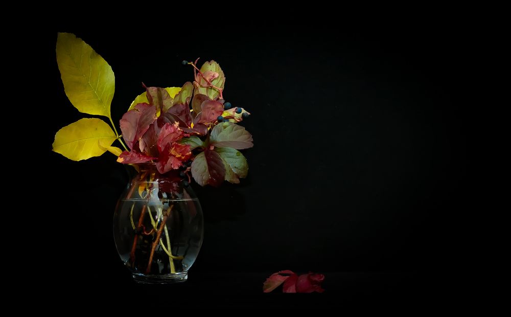 Photograph by Alex Kalpus