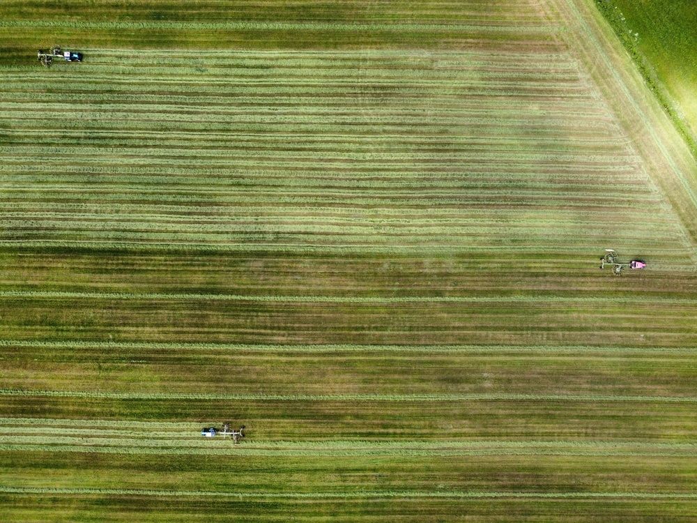 3 веселых трактора