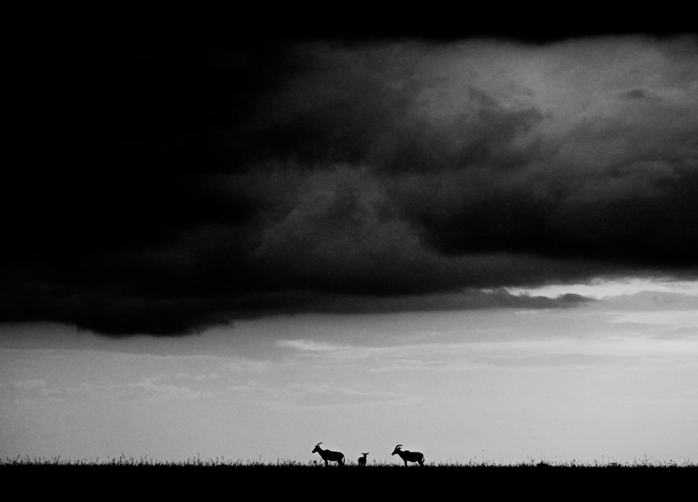 Photograph by Abner Moses Yasir Hussain