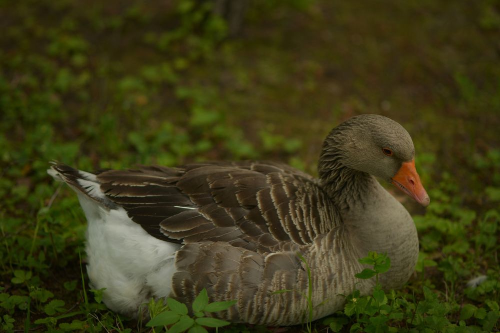Photograph by Олеся Парфенова
