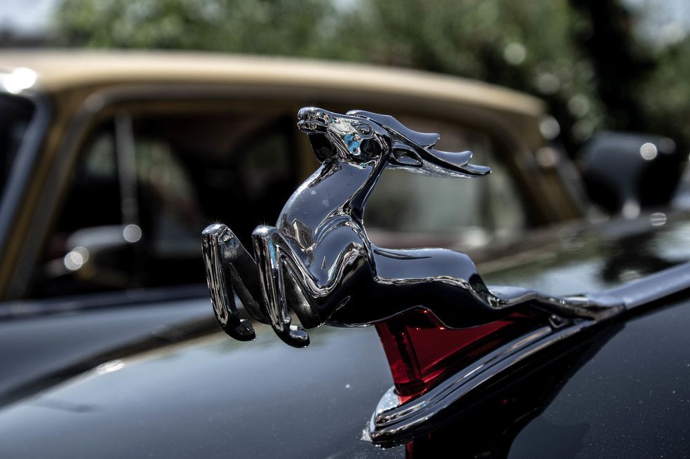 Photograph by Виолетта Митякина