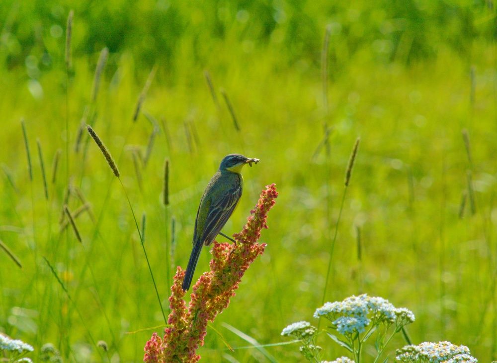 Photograph by Сергей Симаков