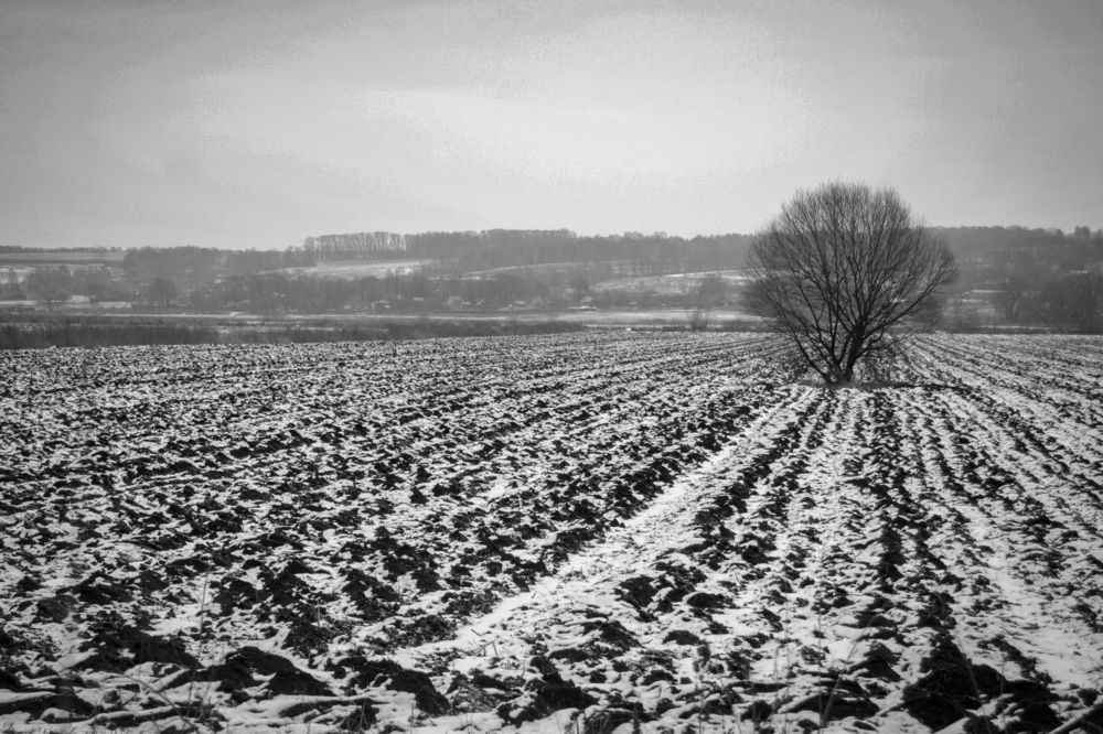 Photograph by Екатерина Рябинина