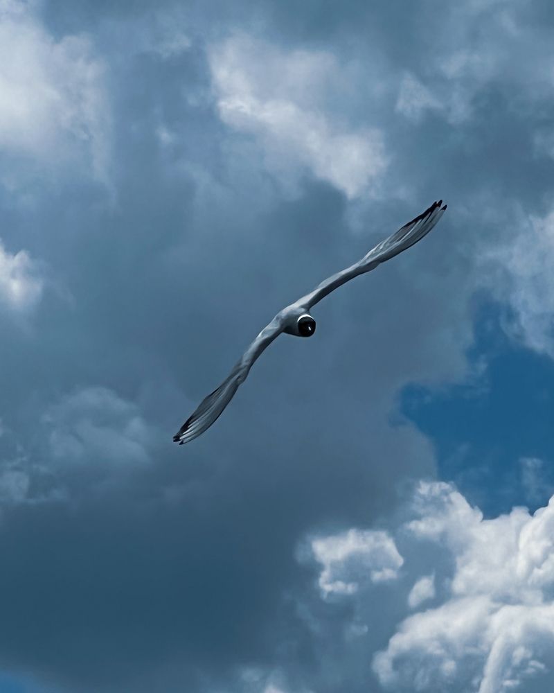 Photograph by Elena Novikova