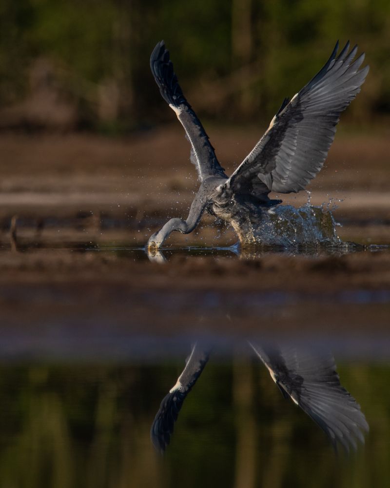 Photograph by prasanth muralidharan