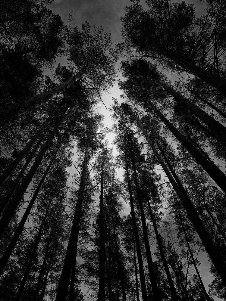 Photograph by Ilyas Adilbayev