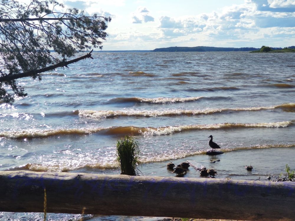 Photograph by Надежда