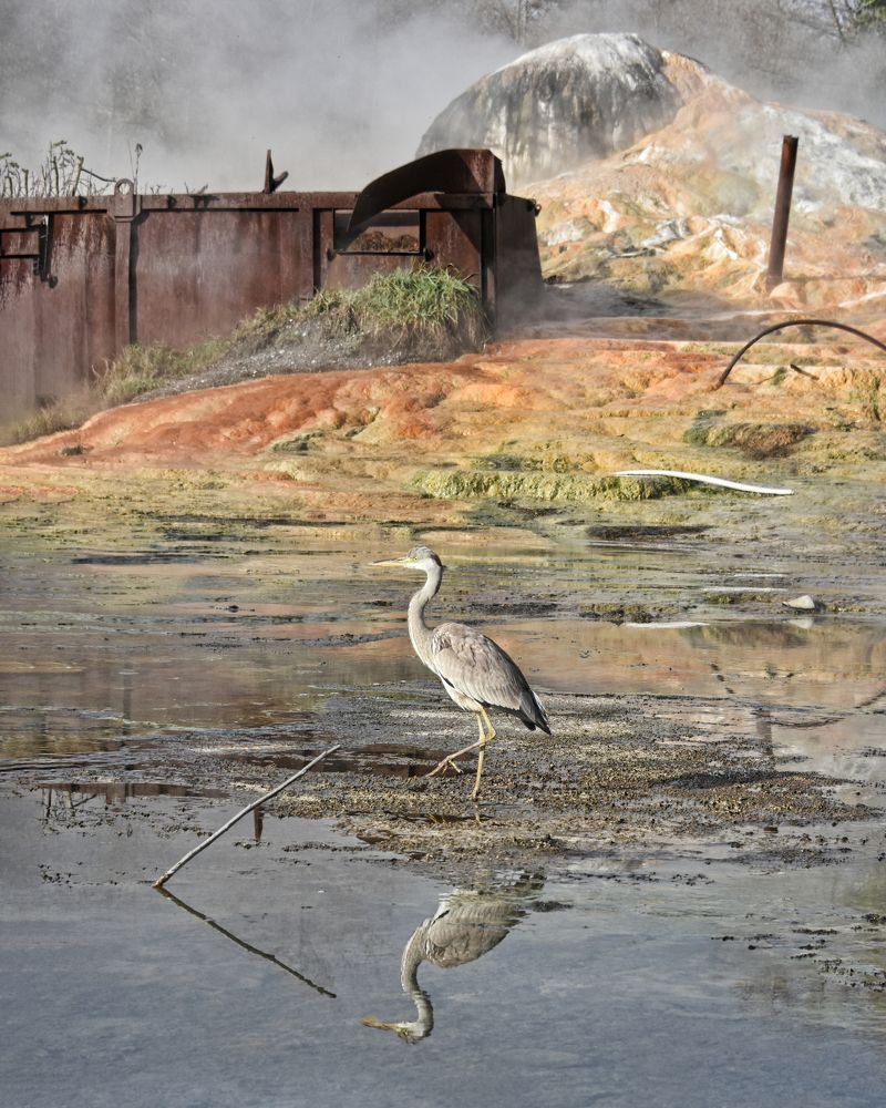 Photograph by Надежда Буаллаг