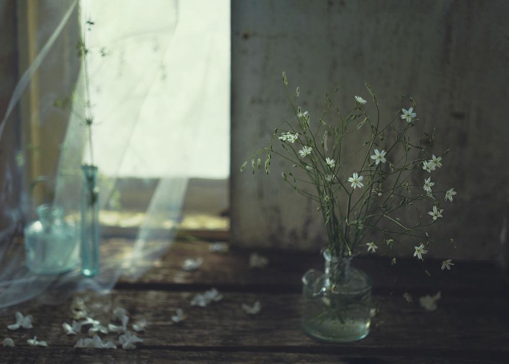 Photograph by Natalia Ricci