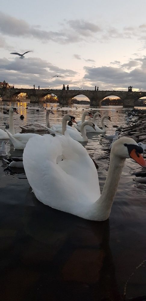 Фотография автора Ольга Мусина