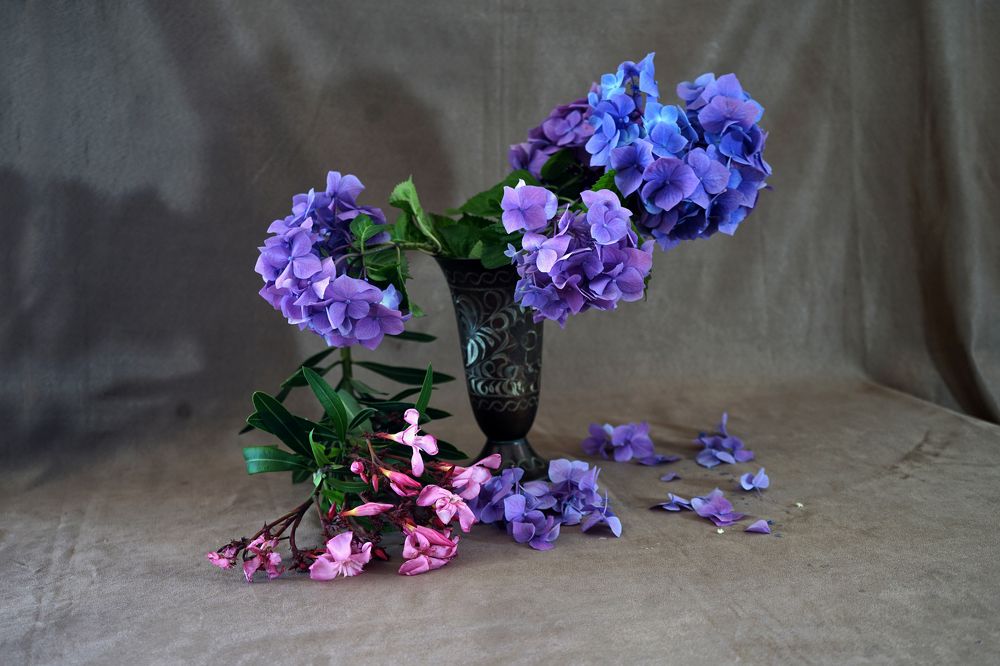 Photograph by Muzaffer Sütlüoğlu