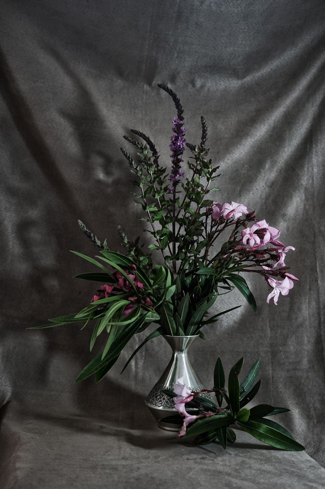 Photograph by Muzaffer Sütlüoğlu