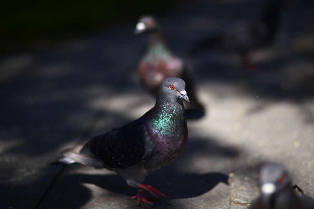 Photograph by Бальзирова Наталья