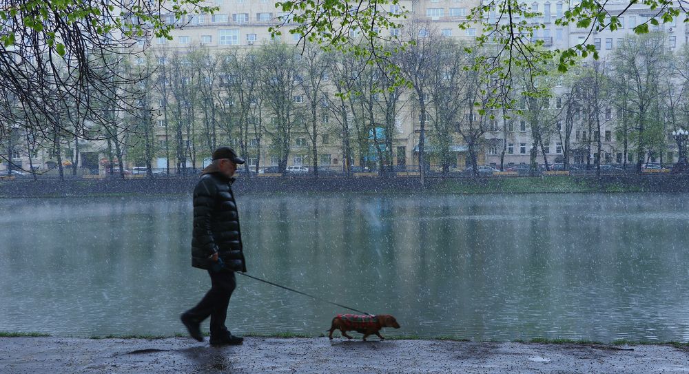 Photograph by Александр Шаварёв