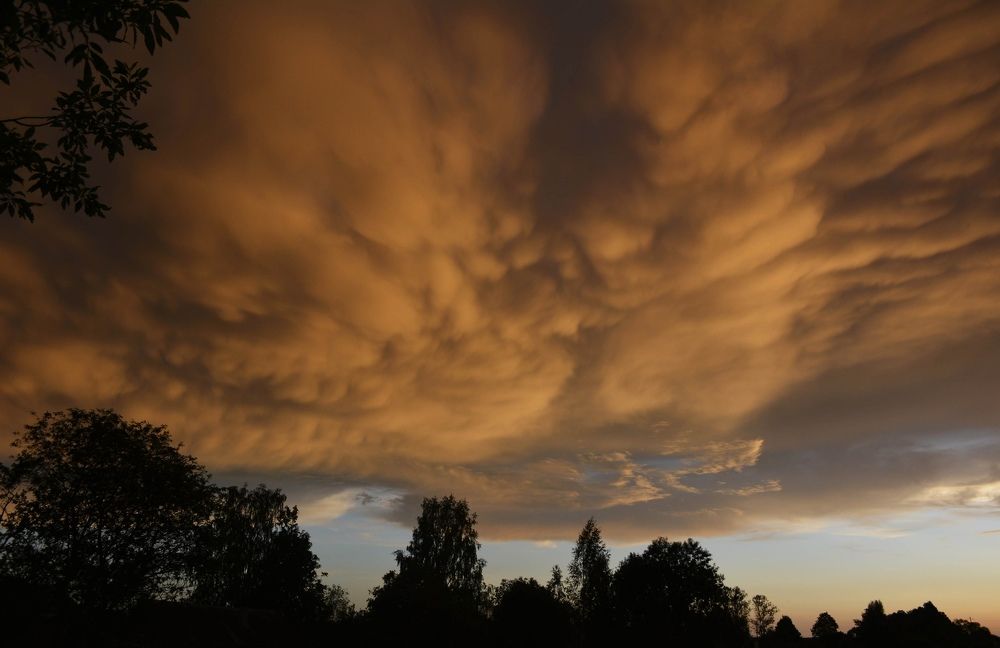 Photograph by Sветлана Афонина