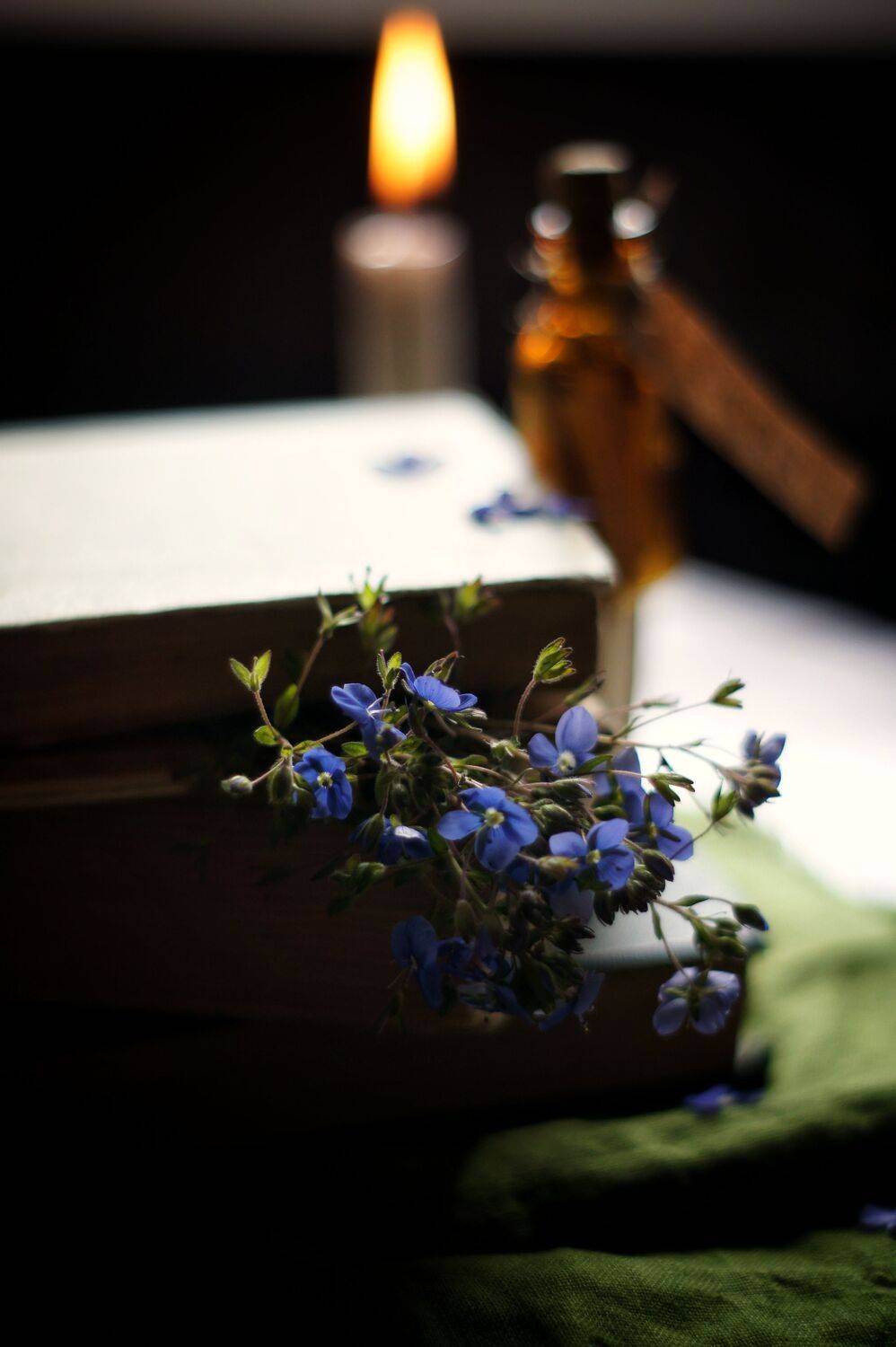 Photo #7776839