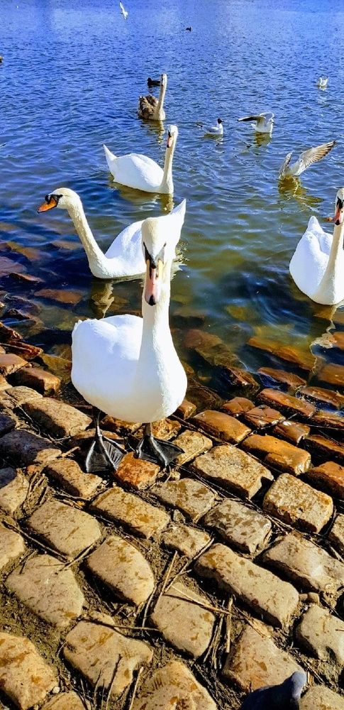 Фотография автора Ольга Мусина