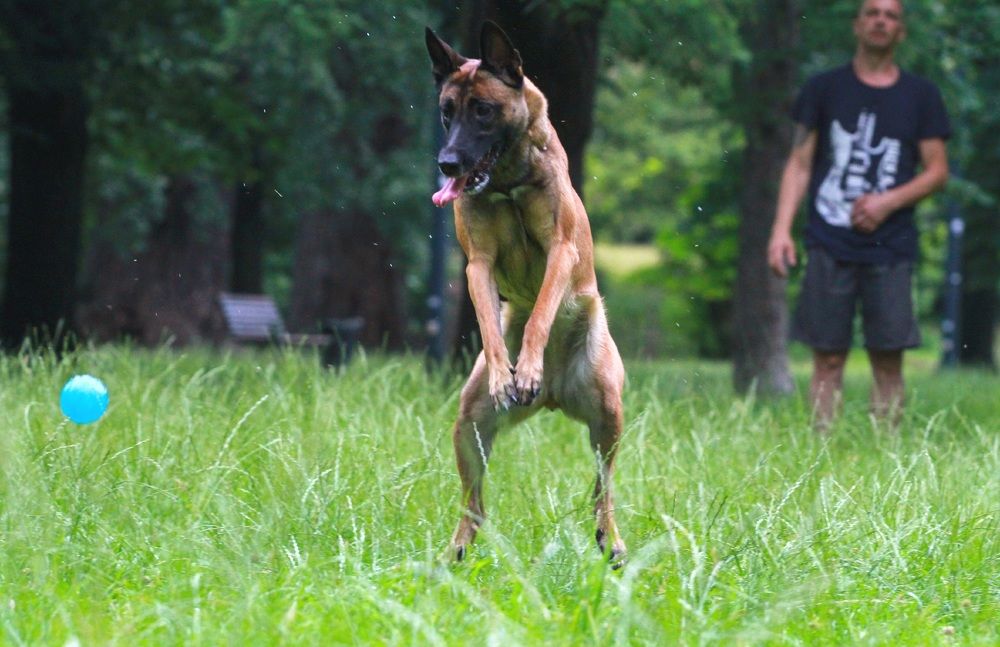 Фотография автора Анна Яковенко
