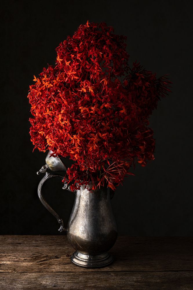 Photograph by Valdir Hobus