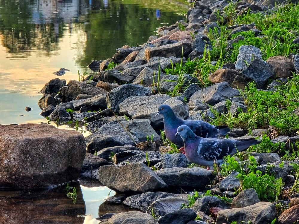 Photograph by Дина Чаица