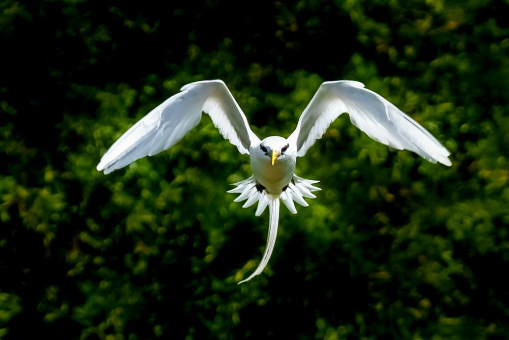 Photograph by Tomas Vanourek