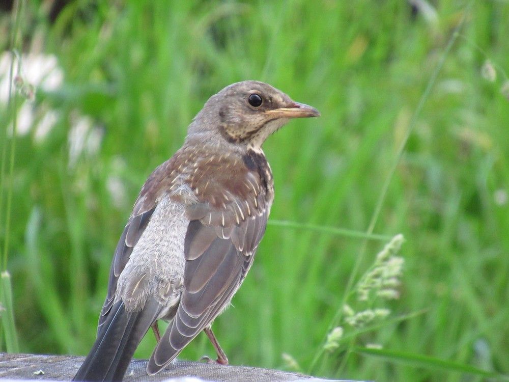 Photograph by Ольга Березовская