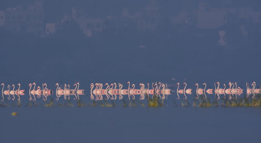 Photograph by Виктория Диксит