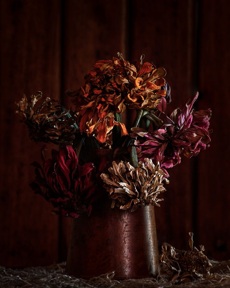 Photograph by Valdir Hobus