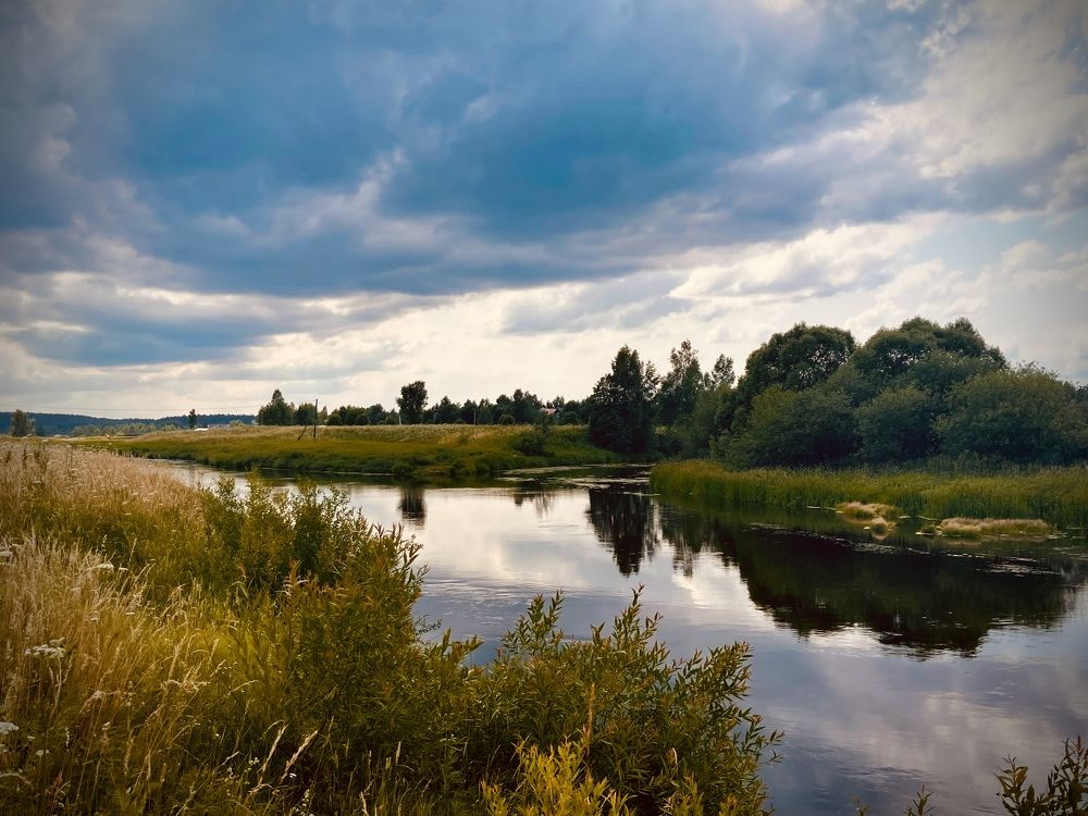 Фотография автора Юлия Шумейко