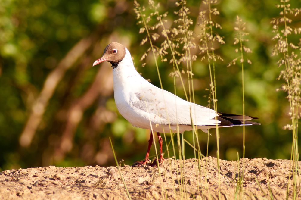 Photograph by Igor Kochkin