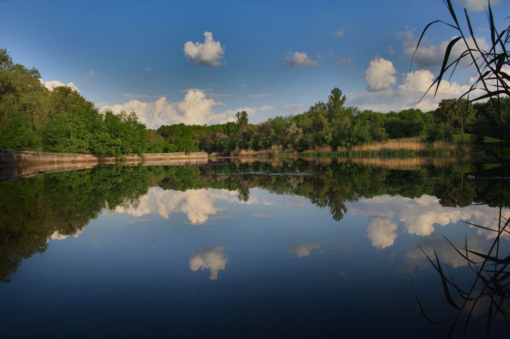 Photograph by Viktoriia Emelianova