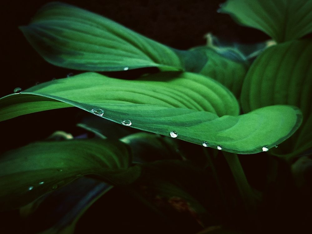 Photograph by Nikki May