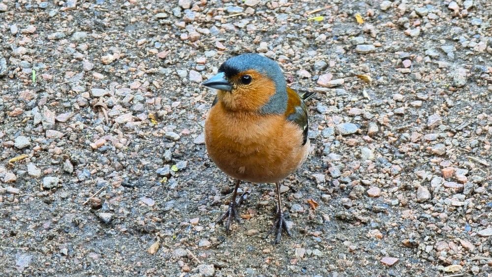 Photograph by Marie G