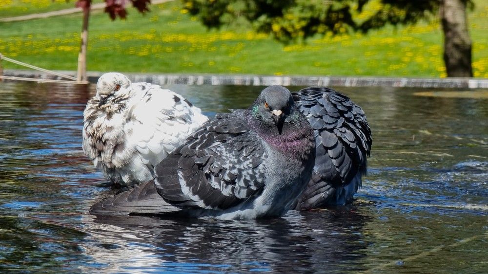 Photograph by Marie G