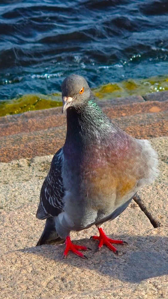 Photograph by Marie G