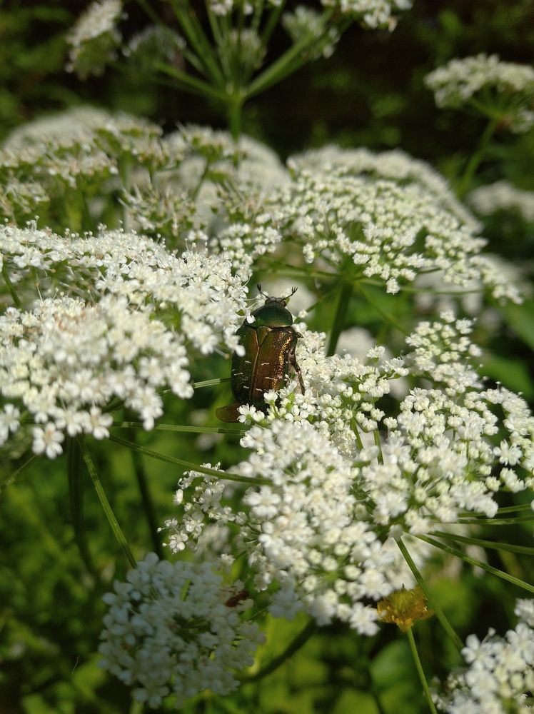 Photograph by Надежда Котовская