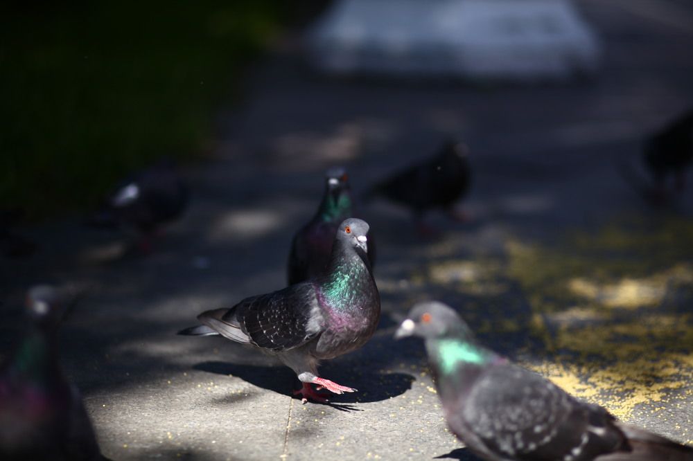 Photograph by Бальзирова Наталья