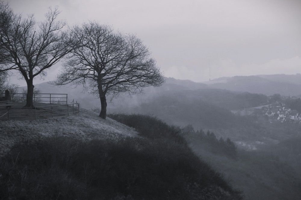 Photograph by Marie G