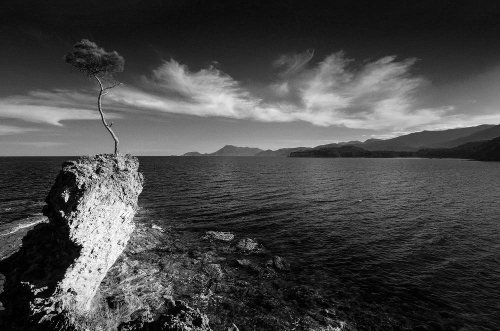 Photograph by Максим Кукурунд