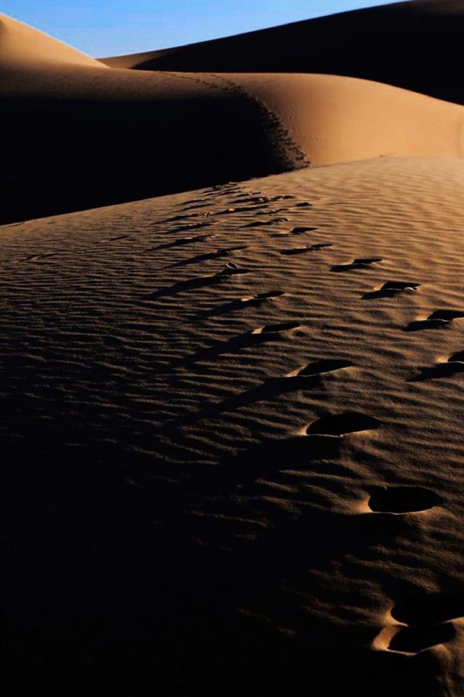 Photograph by Shaghayegh yousefi