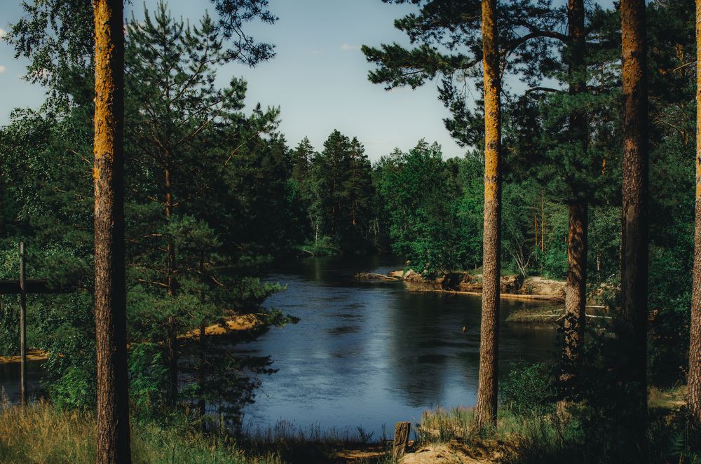 Photograph by Никита Богомолов