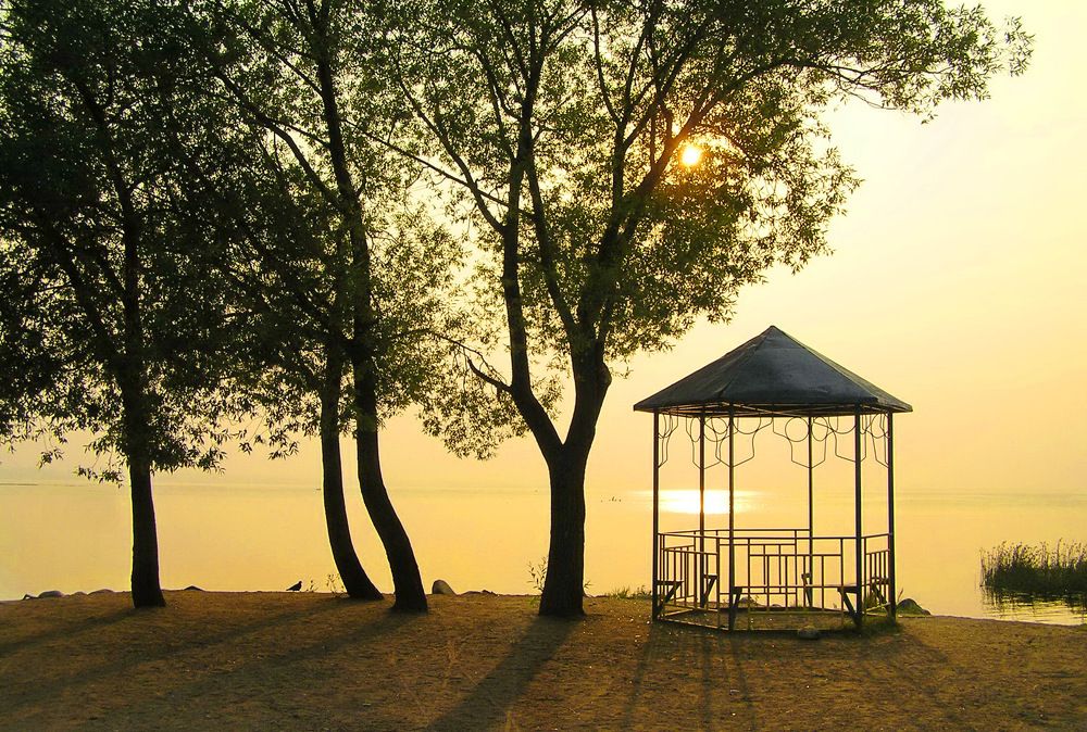 Жаркое безмолвие.